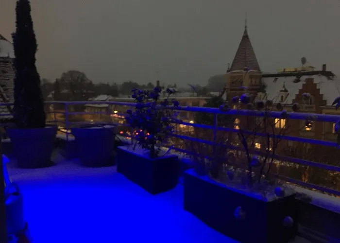 L'orangerie * Straatsburg